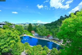 Photo #1: 41132267 Listing 