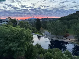 Photo #2: 41132267 Listing 