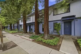 Photo #3: 41132405 Listing 