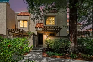 Photo #1: 41132416 Listing 