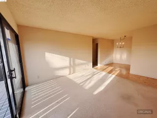 Photo #6: 41132492 Listing 