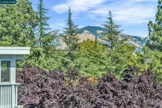 Photo #1: 41132519 Listing 