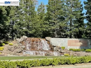 Primary Photo for MLS#: 41132533