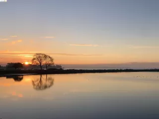 Photo #2: 41132586 Listing 