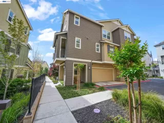 Primary Photo for MLS#: 41132797