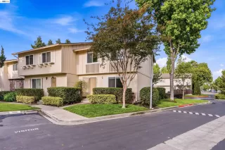 Photo #1: 41132804 Listing 