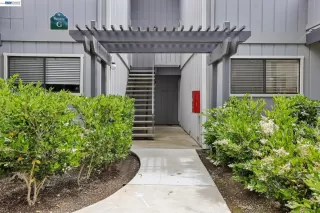 Photo #1: 41132842 Listing 