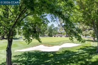 Photo #4: 41132910 Listing 