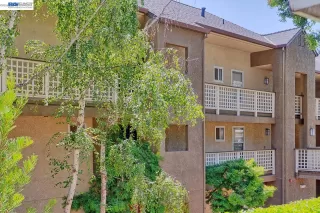 Photo #1: 41132927 Listing 