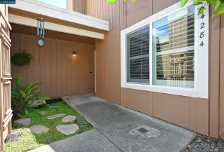 Photo #1: 41133110 Listing 