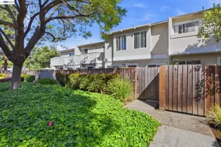 Primary Photo for MLS#: 41133162