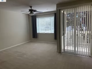 Photo #6: 41133164 Listing 