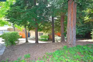 Photo #5: 41133257 Listing 
