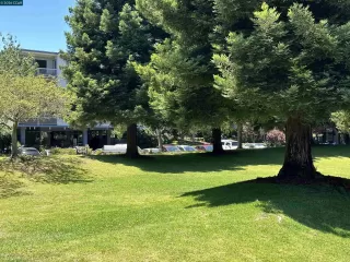 Photo #3: 41133440 Listing 