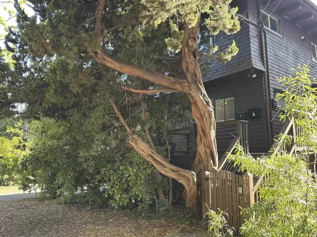 MLS: 41133469 Condo For Sale