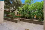 Primary Photo for MLS#: 41133542