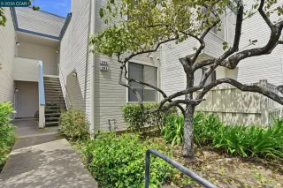 Photo #1: 41133668 Listing 
