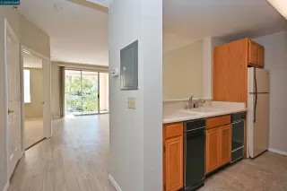 Photo #1: 41133757 Listing 