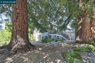 Photo #1: 41133780 Listing 