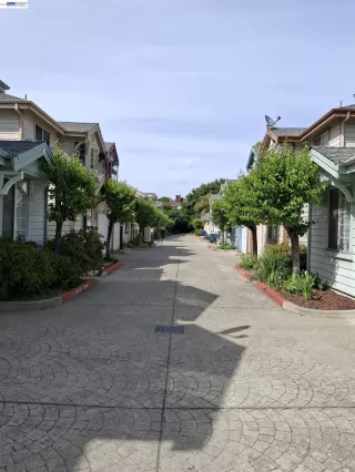 Photo #1: 41133844 Listing 