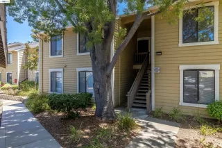 Photo #1: 41133846 Listing 