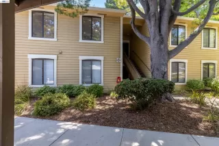 Photo #2: 41133846 Listing 