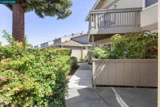 Photo #1: 41133860 Listing 