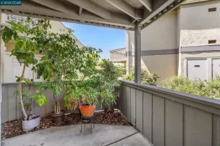 Photo #4: 41133860 Listing 