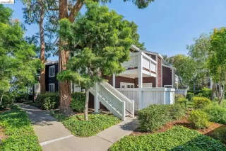 Photo #1: 41133869 Listing 