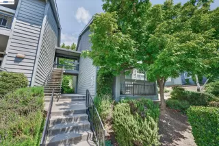 Photo #1: 41133901 Listing 