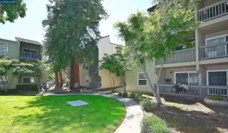 Photo #1: 41133946 Listing 