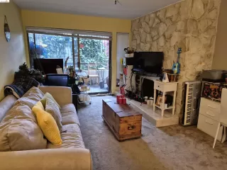 Photo #1: 41133998 Listing 