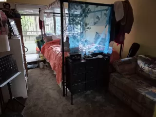Photo #5: 41133998 Listing 