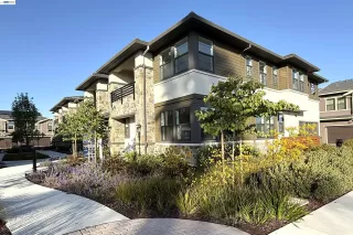 Photo #1: 41134037 Listing 