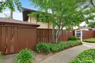 Photo #1: 41134044 Listing