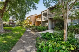 Photo #1: 41134137 Listing 