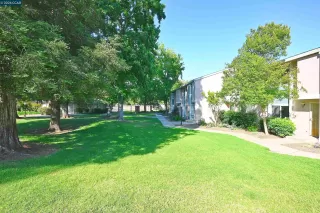 Photo #2: 41134226 Listing 