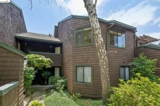 Photo #1: 41134240 Listing 