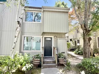 Primary Photo for MLS#: 41134272