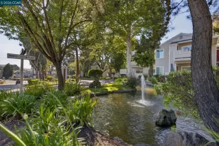 Photo #2: 41134661 Listing 