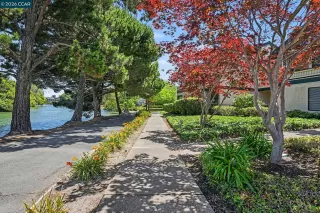 Photo #4: 41134759 Listing 