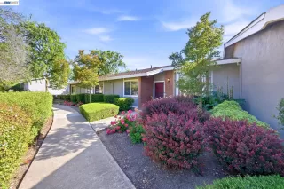 Photo #2: 41134800 Listing 