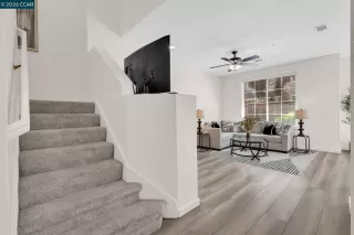 Photo #2: 41134807 Listing 