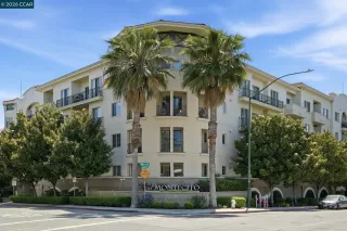Primary Photo for MLS#: 41134818