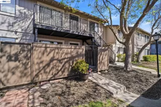 Photo #1: 41134852 Listing 