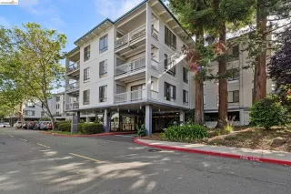 Photo #1: 41134882 Listing 