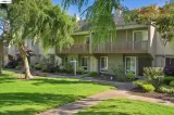 Primary Photo for MLS#: 41134932