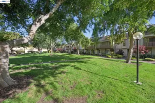 Photo #1: 41134932 Listing 