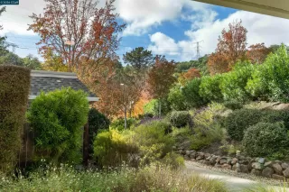 Photo #5: 41135029 Listing 