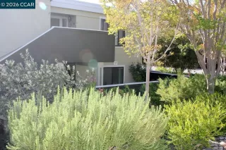 Photo #1: 41135077 Listing 